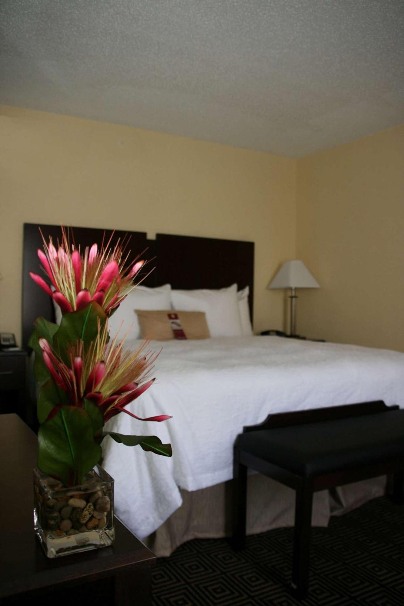 Hampton Inn & Suites Orlando-John Young Parkway/South Park Williamsburg Buitenkant foto